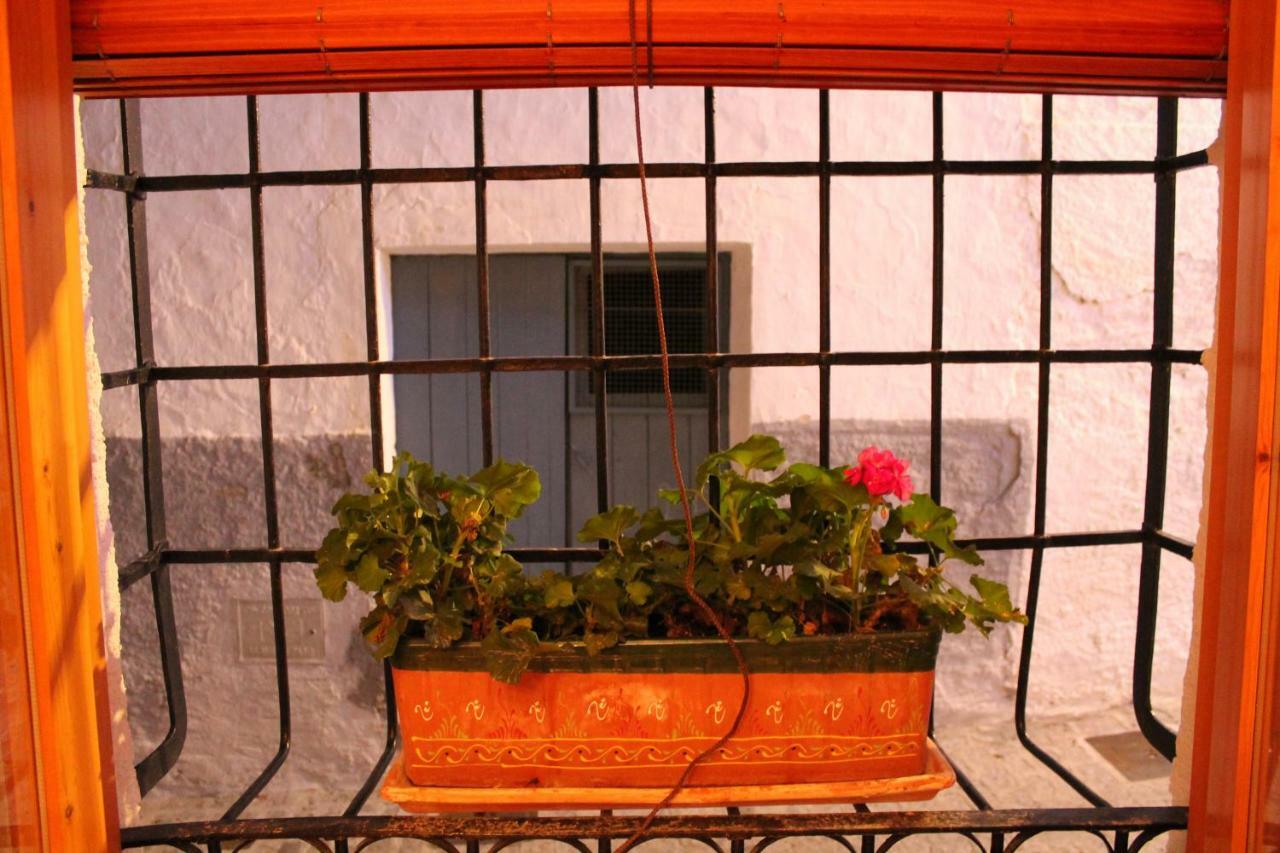 La Casa De La Acequia Guest House Seron Ngoại thất bức ảnh