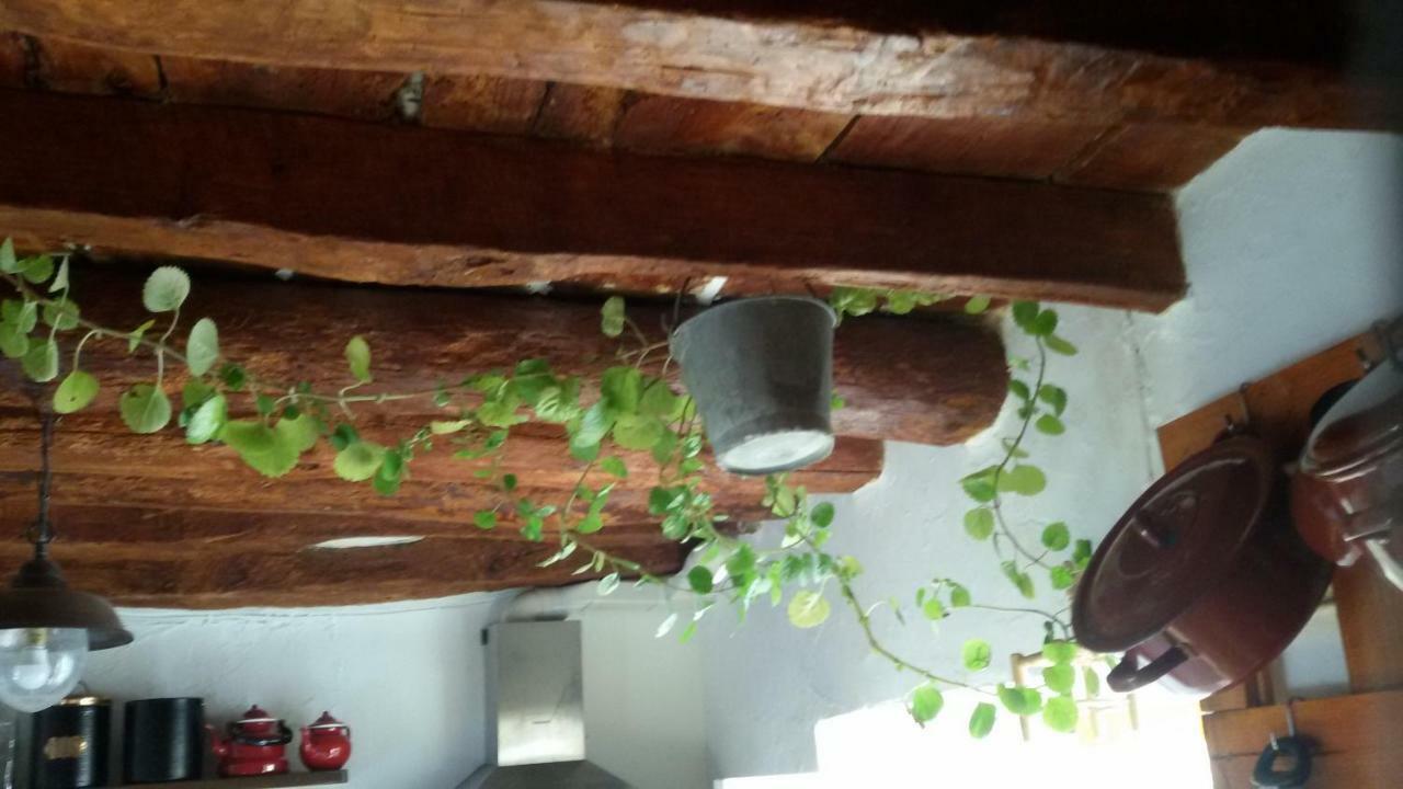 La Casa De La Acequia Guest House Seron Ngoại thất bức ảnh