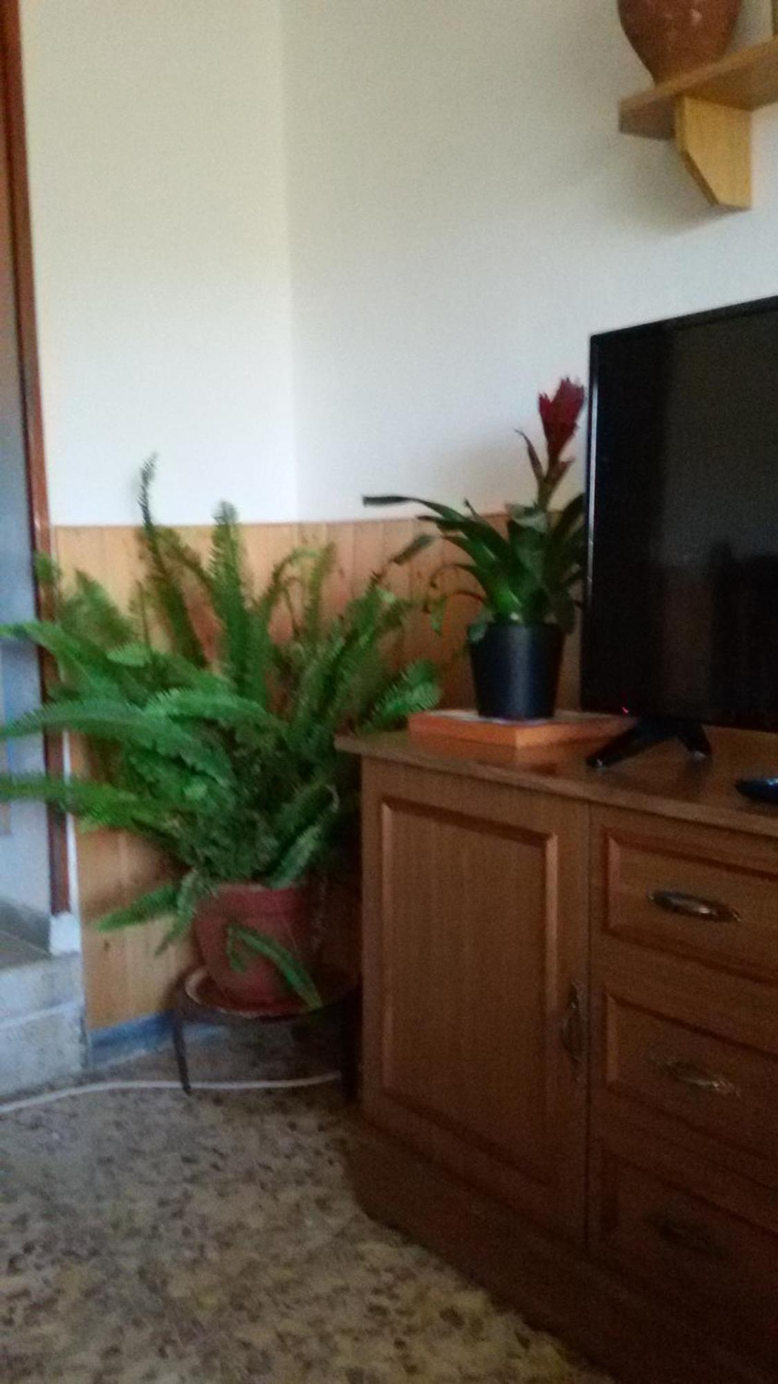 La Casa De La Acequia Guest House Seron Ngoại thất bức ảnh